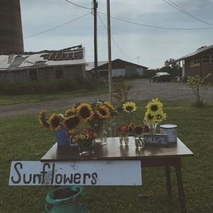 Meet your Posher, Isabelle